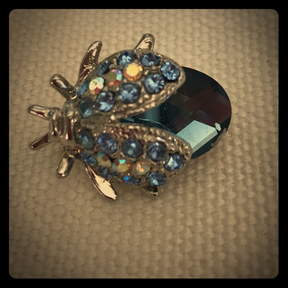 Ladybug Brooch